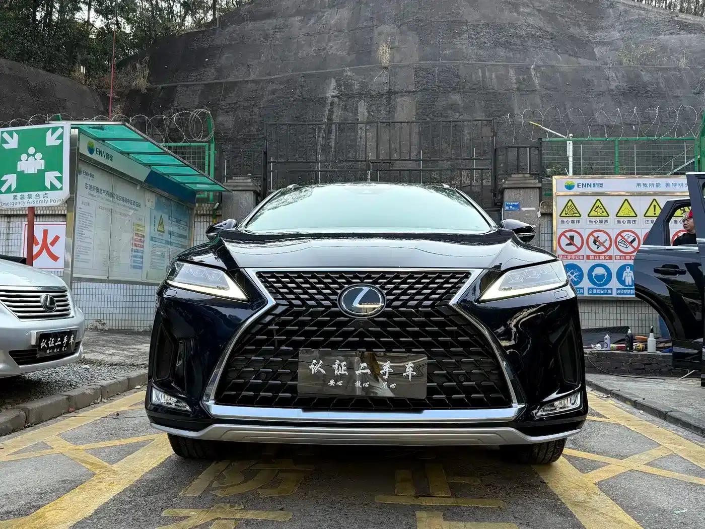 Lexus RX 2021 300 AWD Special Edition — миниатюра 2