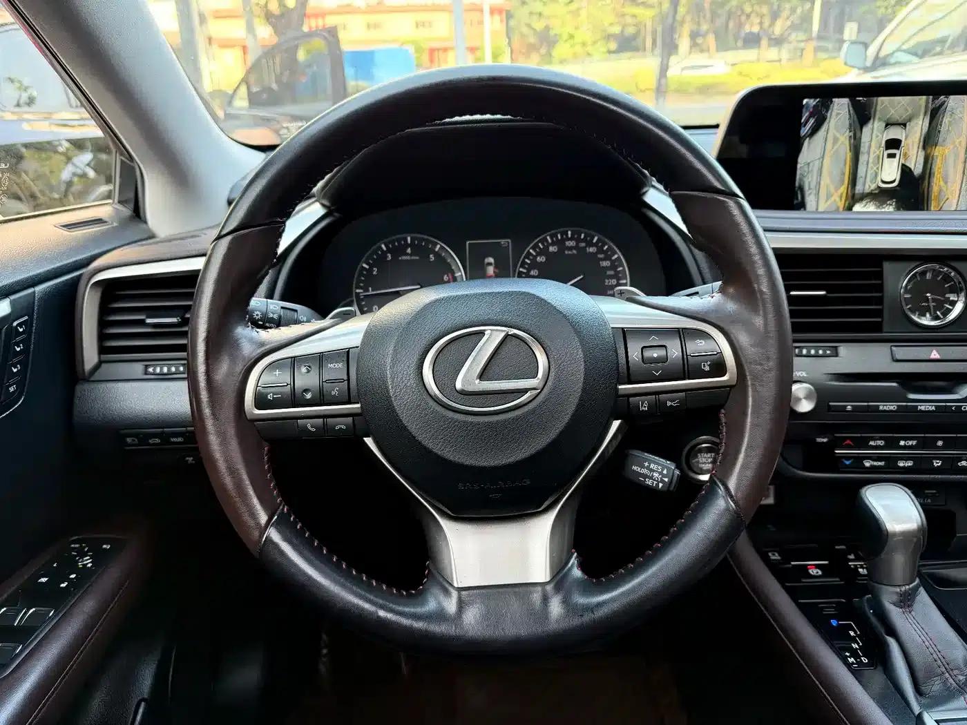 Lexus RX 2021 300 AWD Special Edition — миниатюра 15