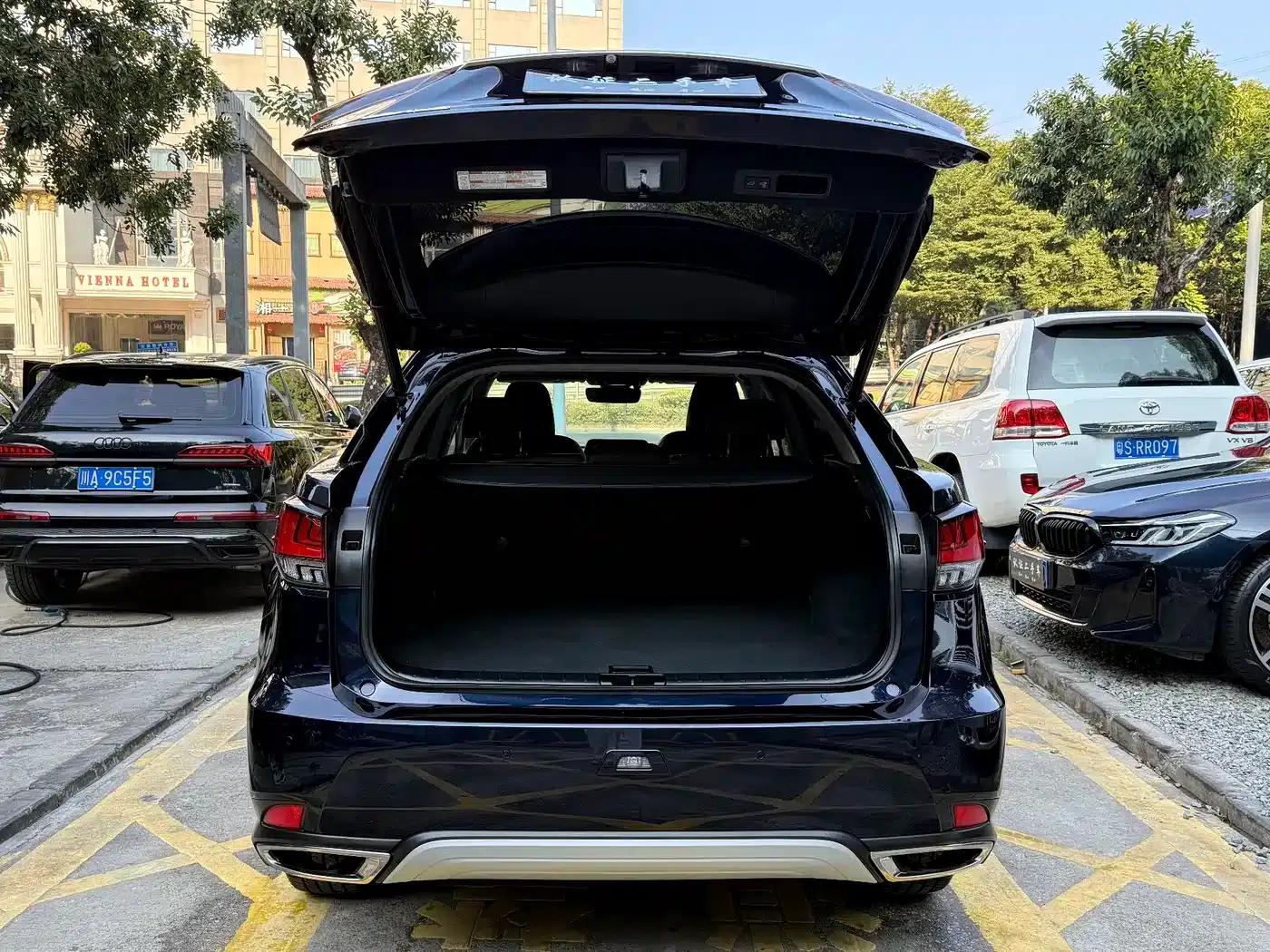 Lexus RX 2021 300 AWD Special Edition — миниатюра 17