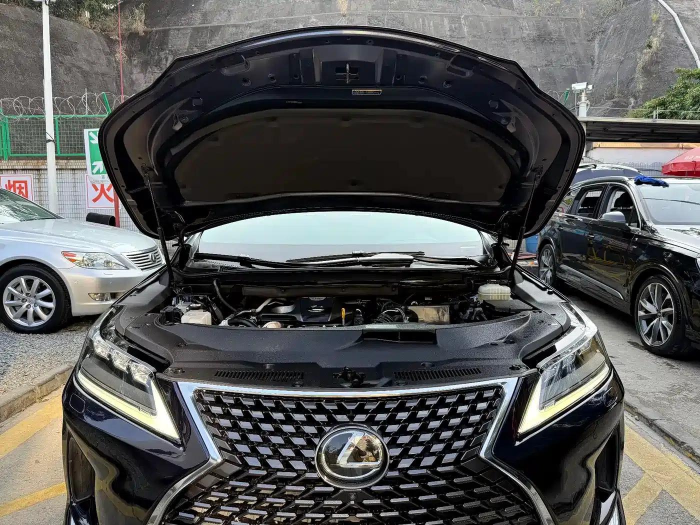 Lexus RX 2021 300 AWD Special Edition — миниатюра 19