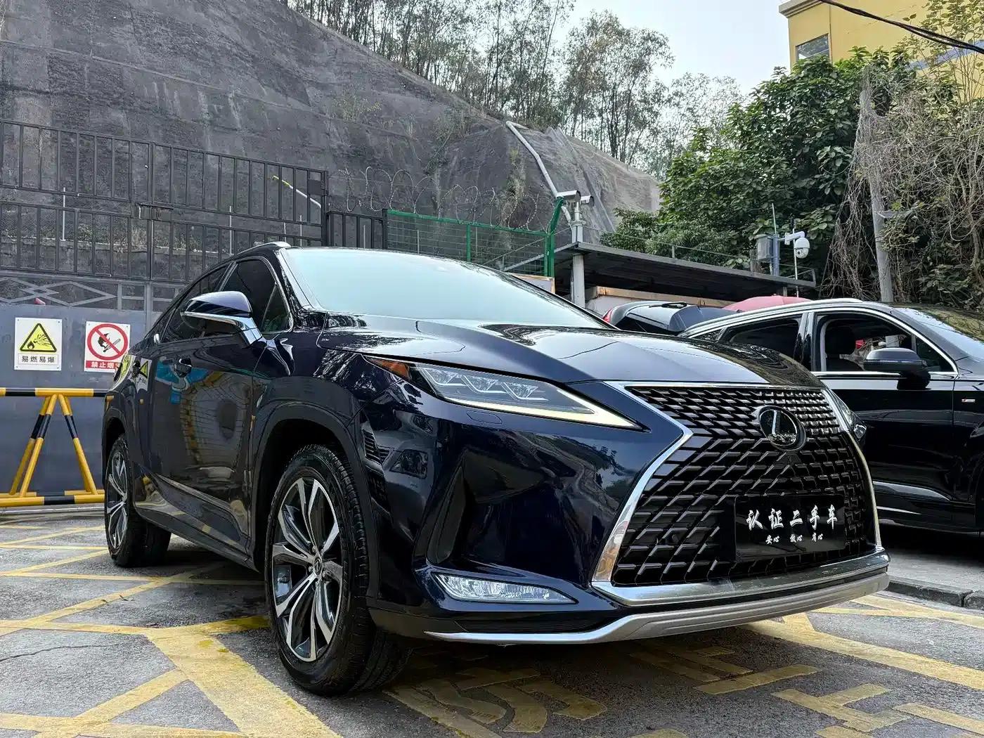 Lexus RX 2021 300 AWD Special Edition — миниатюра 4
