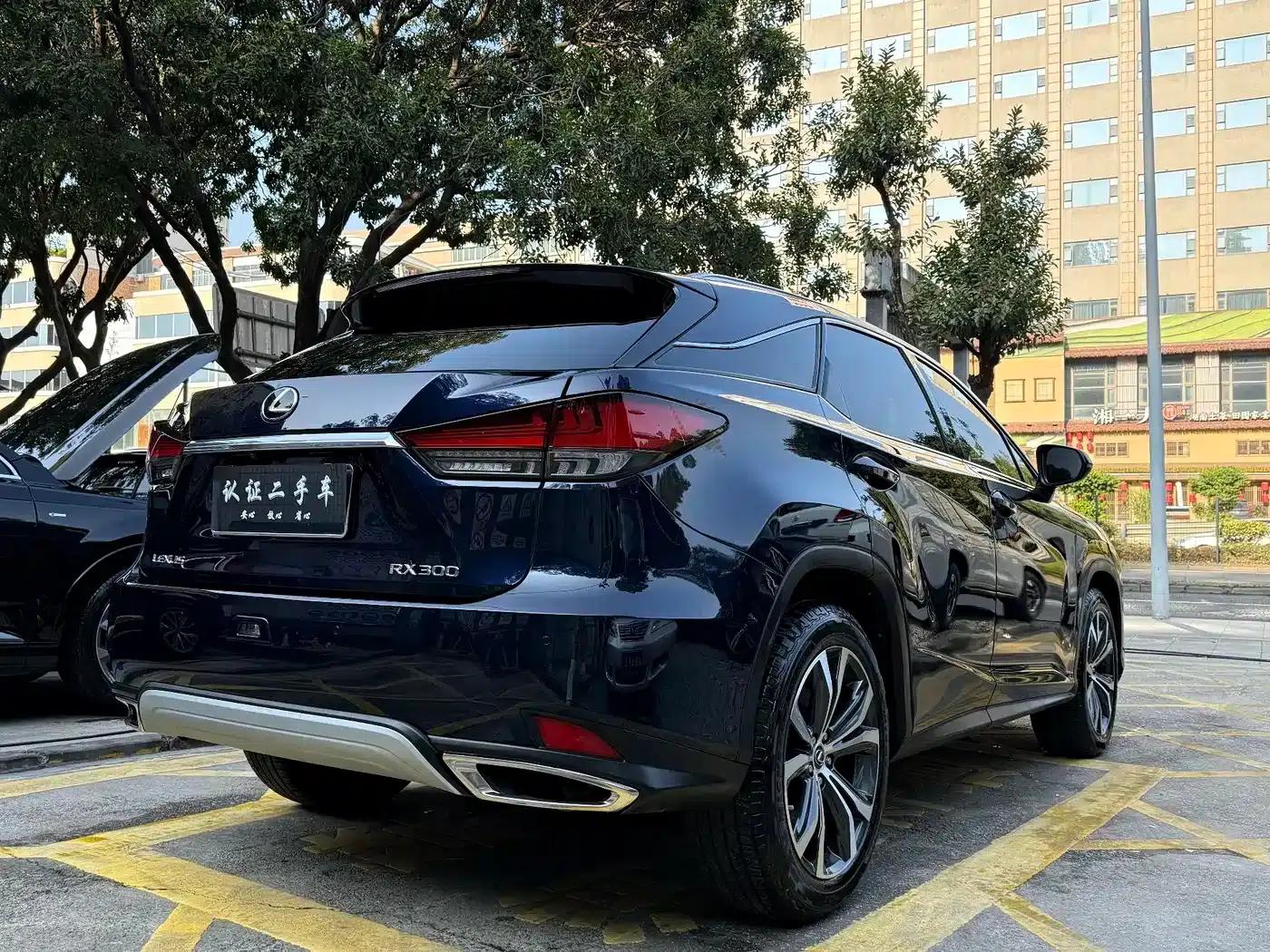 Lexus RX 2021 300 AWD Special Edition — миниатюра 5