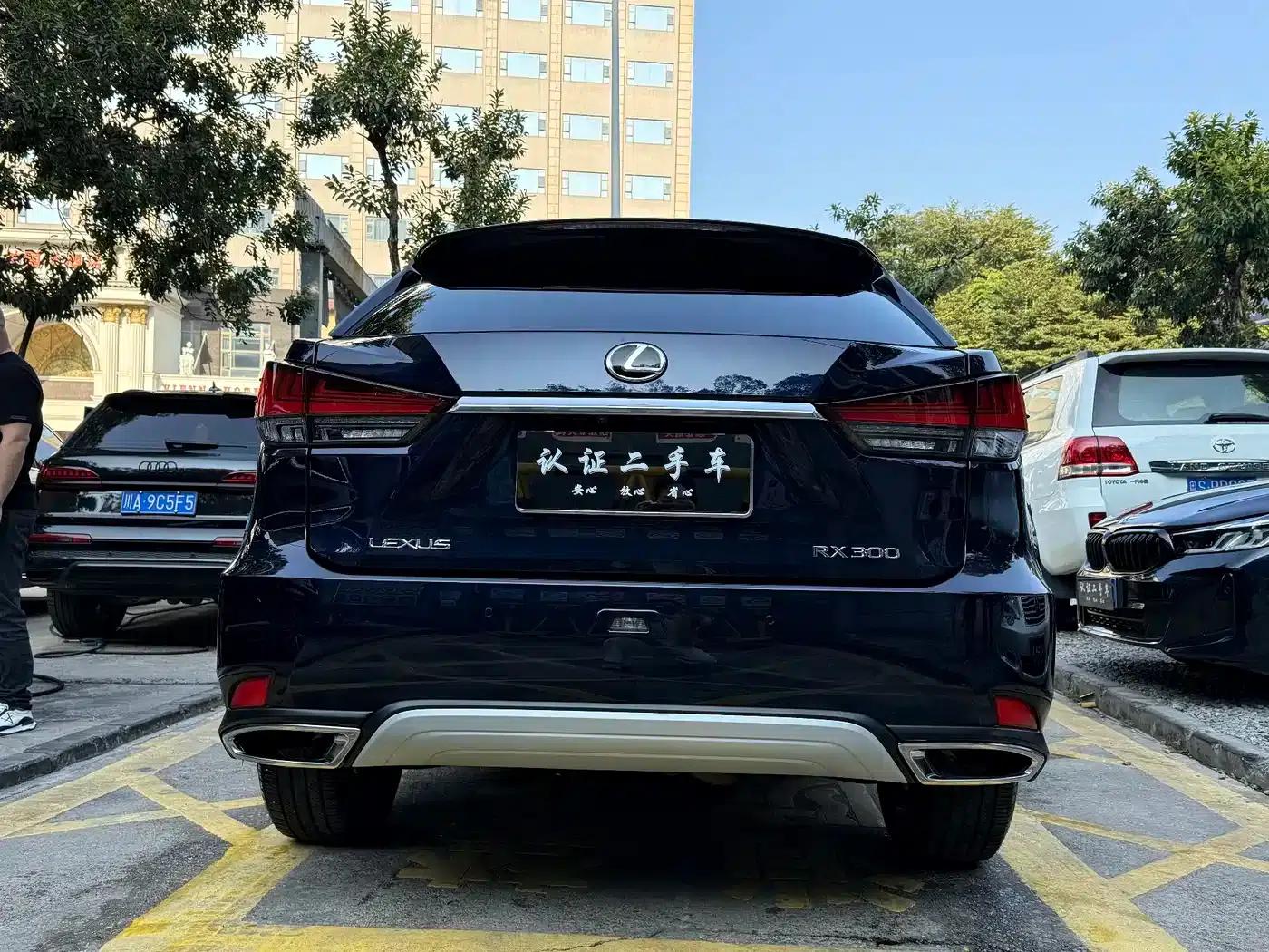 Lexus RX 2021 300 AWD Special Edition — миниатюра 6