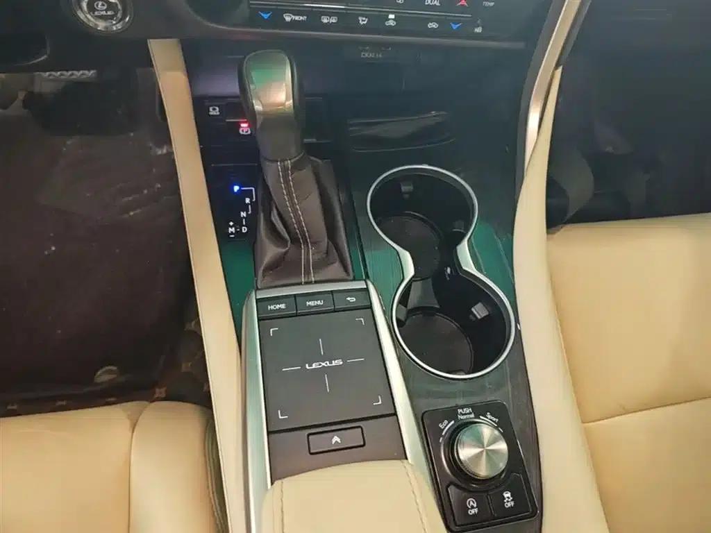Lexus RX 2020 300 2WD Elite Edition (China VI Emission Standard) — миниатюра 14