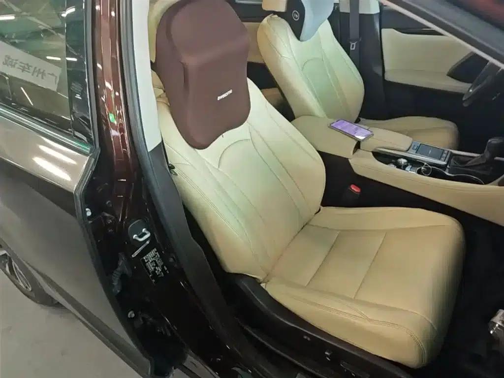 Lexus RX 2020 300 2WD Elite Edition (China VI Emission Standard) — миниатюра 24