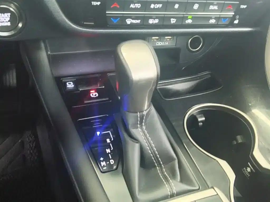 Lexus RX 2020 300 2WD Elite Edition (China VI Emission Standard) — миниатюра 14