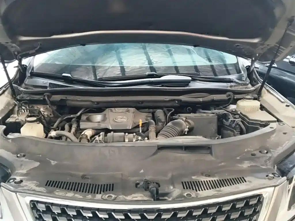 Lexus RX 2020 300 2WD Elite Edition (China VI Emission Standard) — миниатюра 20