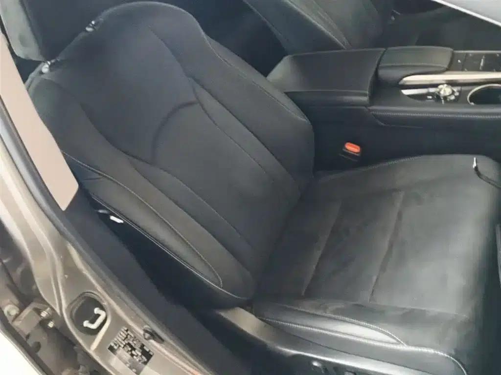 Lexus RX 2020 300 2WD Elite Edition (China VI Emission Standard) — миниатюра 25