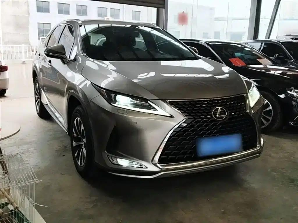 Lexus RX 2020 300 2WD Elite Edition (China VI Emission Standard) — миниатюра 4