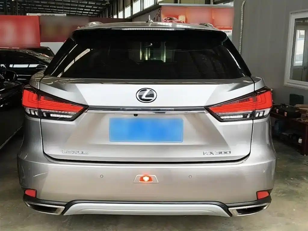 Lexus RX 2020 300 2WD Elite Edition (China VI Emission Standard) — миниатюра 6