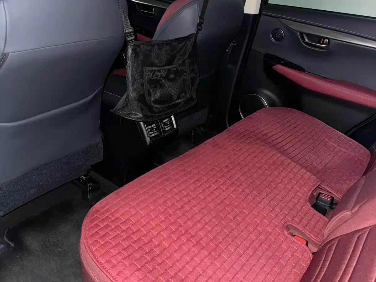 Lexus NX 2018 200 FWD Sport Edition (China V Emission Standard) — миниатюра 6