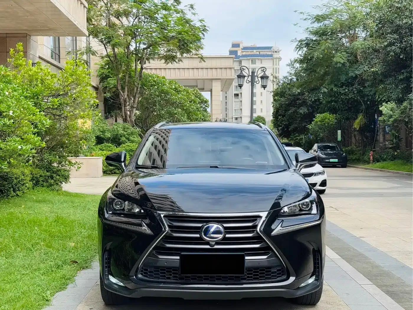 Lexus NX 2017 300h FWD Sport Edition — миниатюра 2