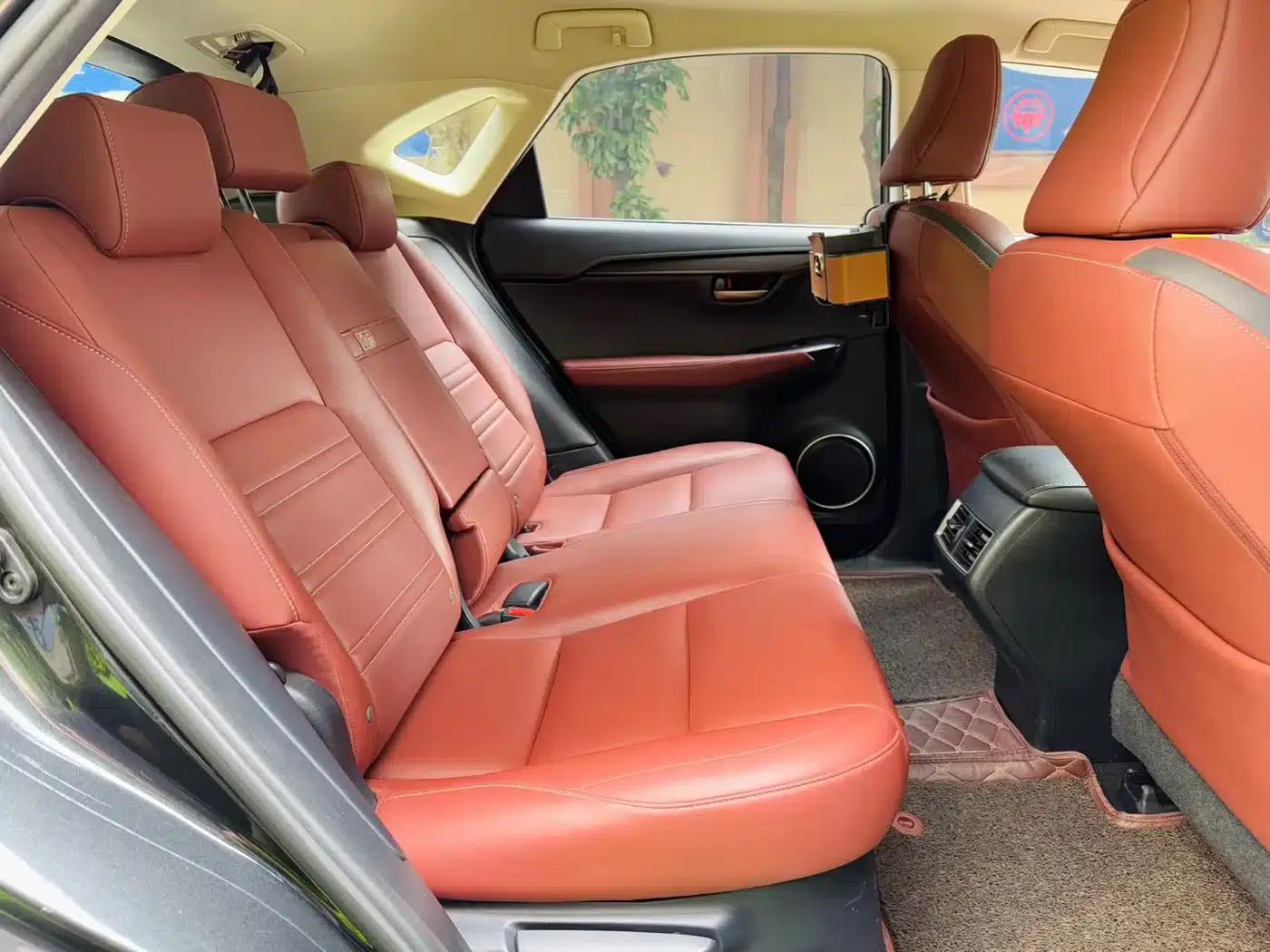 Lexus NX 2017 300h FWD Sport Edition — миниатюра 20