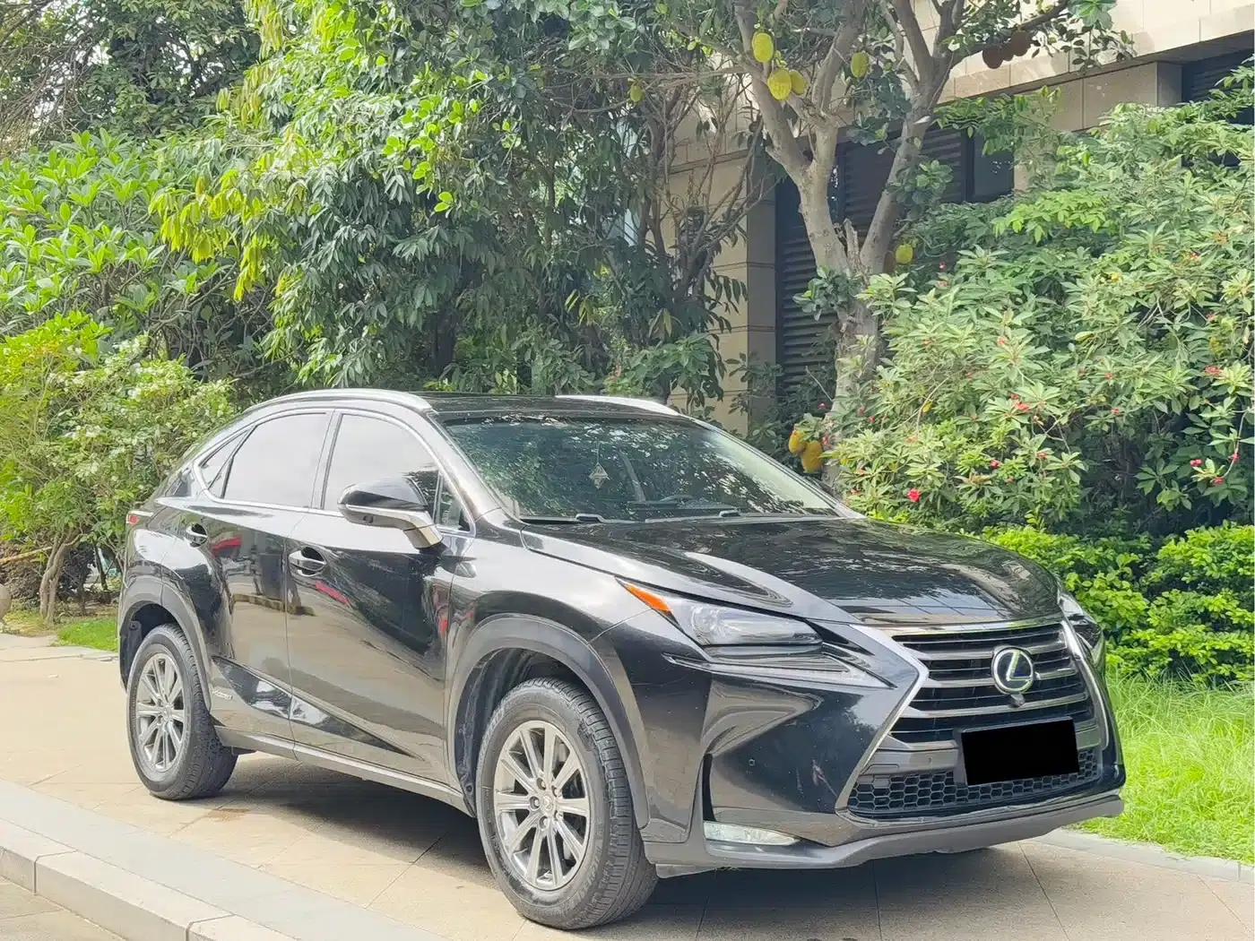 Lexus NX 2017 300h FWD Sport Edition — миниатюра 3