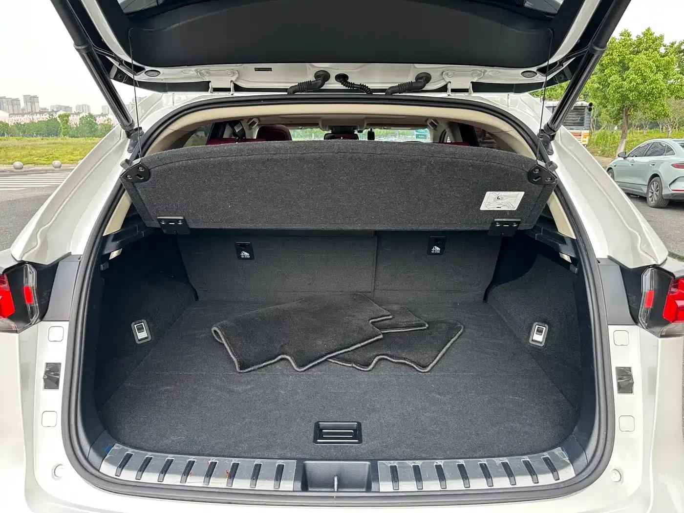 Lexus NX 2020 200 AWD Sport Edition (China VI Emission Standard) — миниатюра 19