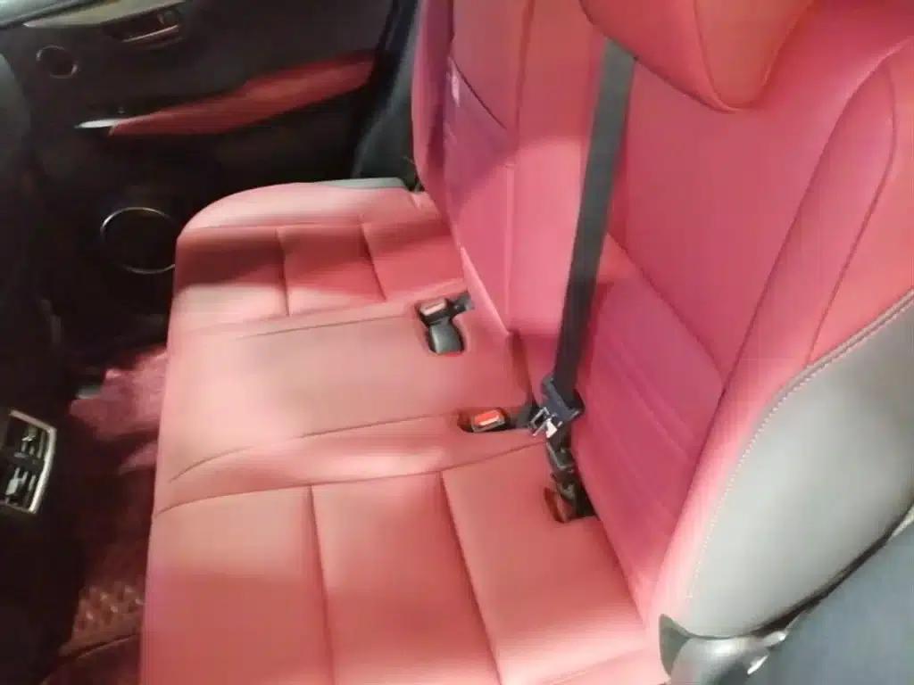 Lexus NX 2020 200 AWD Sport Edition (China VI Emission Standard) — миниатюра 17