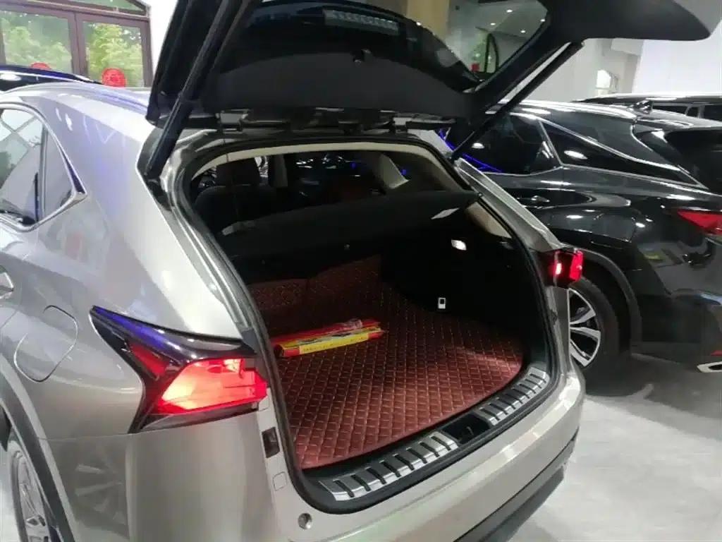 Lexus NX 2020 200 AWD Sport Edition (China VI Emission Standard) — миниатюра 19