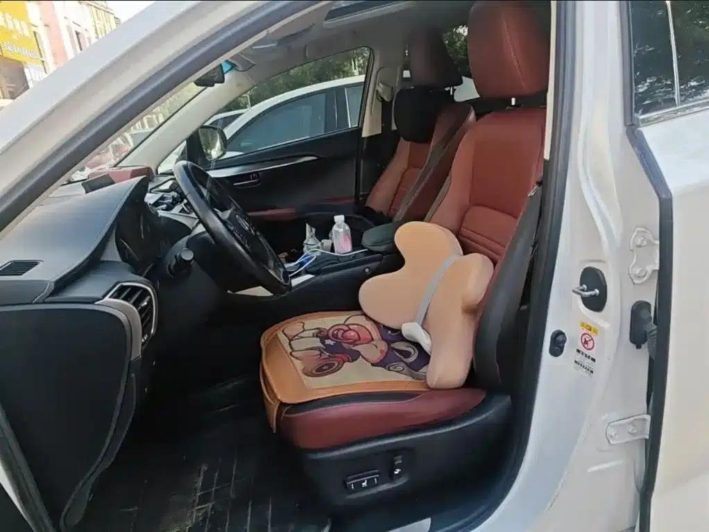 Lexus NX 2016 200 AWD Sport Edition — миниатюра 14