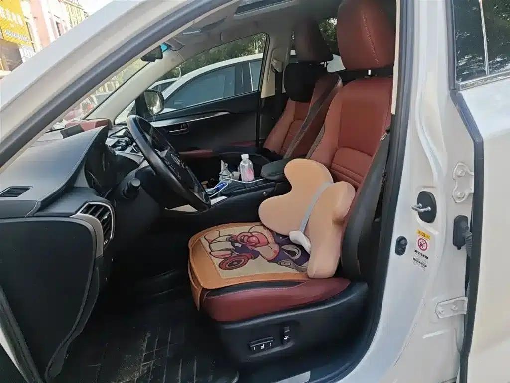 Lexus NX 2016 200 AWD Sport Edition — миниатюра 8