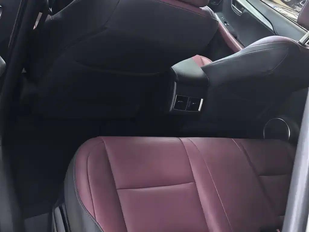 Lexus NX 2020 200 FWD Avant Edition (China VI Emission Standard) — миниатюра 11