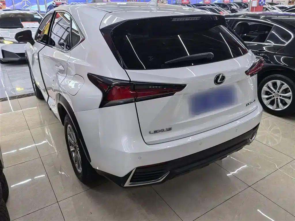 Lexus NX 2020 200 FWD Avant Edition (China VI Emission Standard) — миниатюра 8