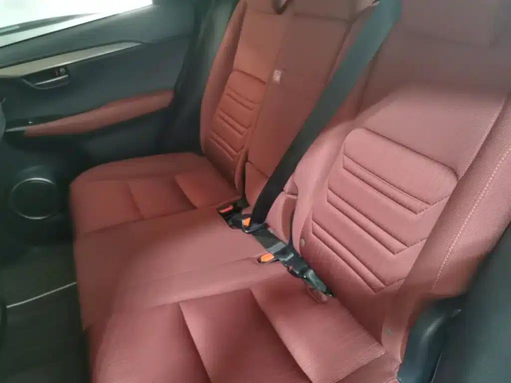 Lexus NX 2020 200 FWD Sport Edition (China VI Emission Standard) — миниатюра 17