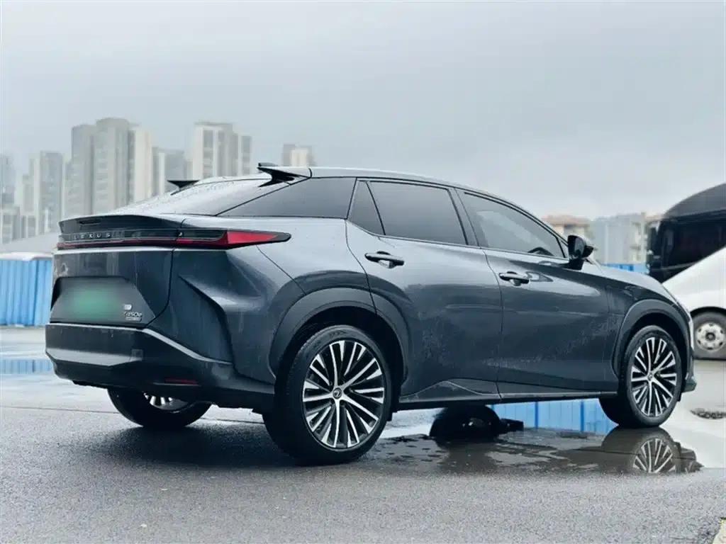 Lexus RZ 2023 450e AWD Luxury Edition — миниатюра 12