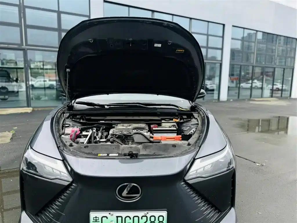 Lexus RZ 2023 450e AWD Luxury Edition — миниатюра 21
