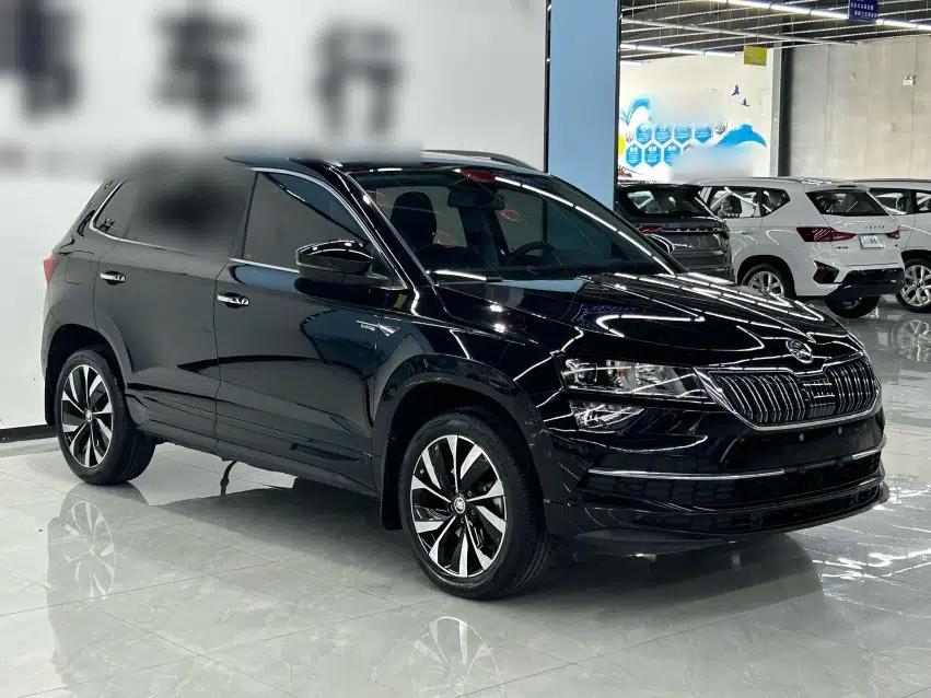 Skoda Karoq 2023 TSI280 Luxury Edition — миниатюра 4