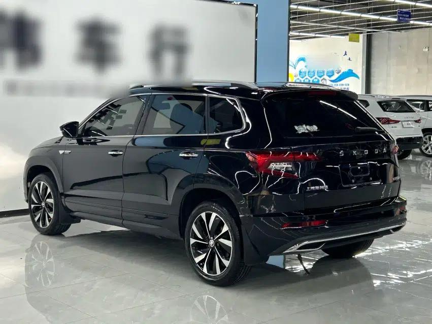 Skoda Karoq 2023 TSI280 Luxury Edition — миниатюра 5
