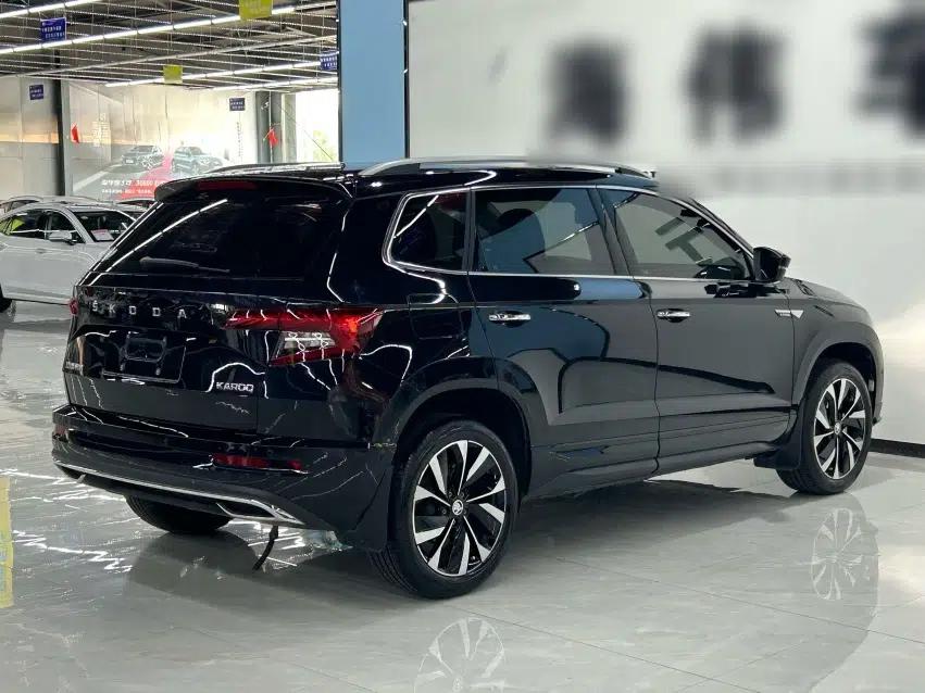 Skoda Karoq 2023 TSI280 Luxury Edition — миниатюра 7