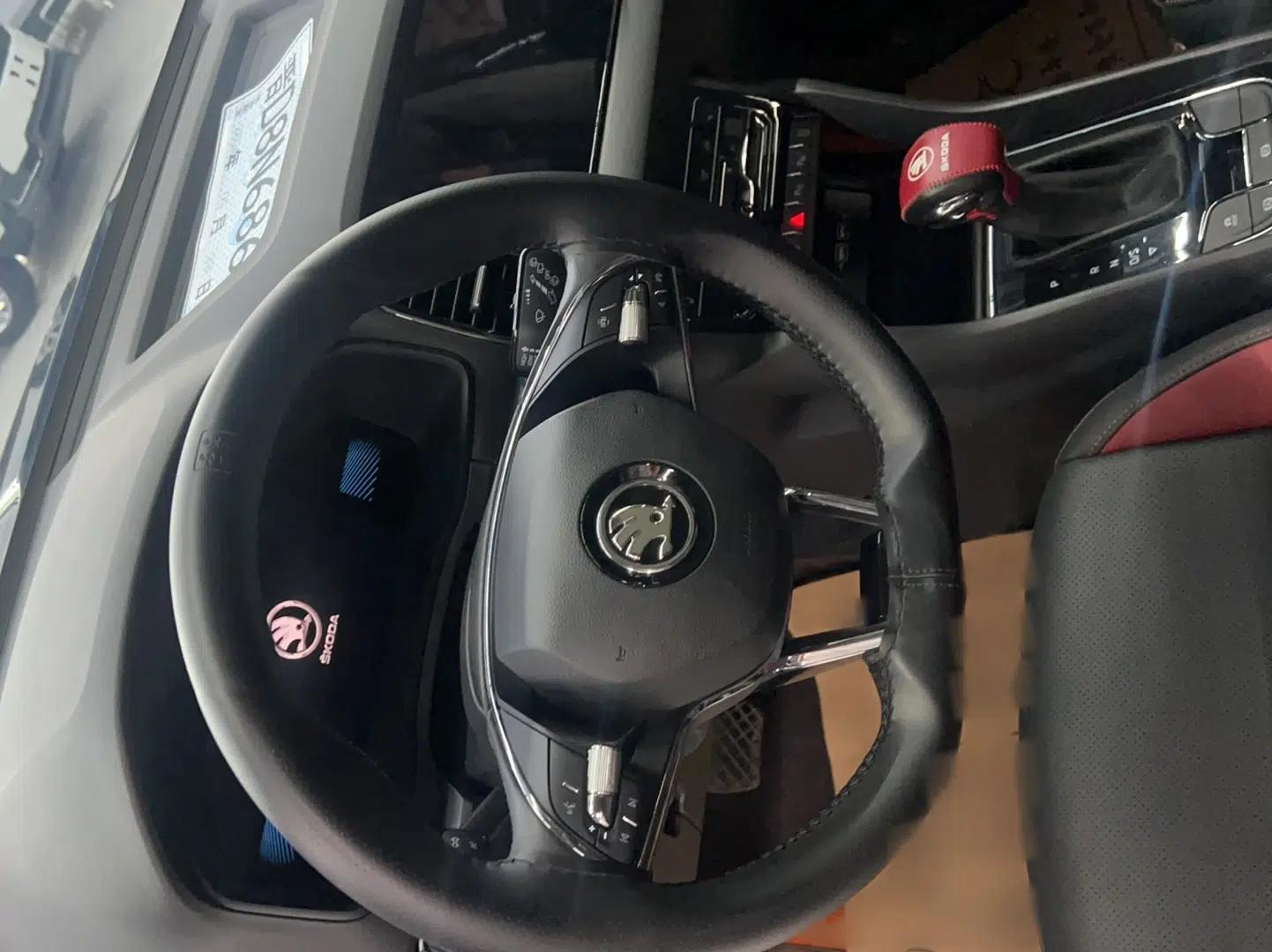 Skoda Karoq 2023 TSI280 Luxury Edition — миниатюра 10