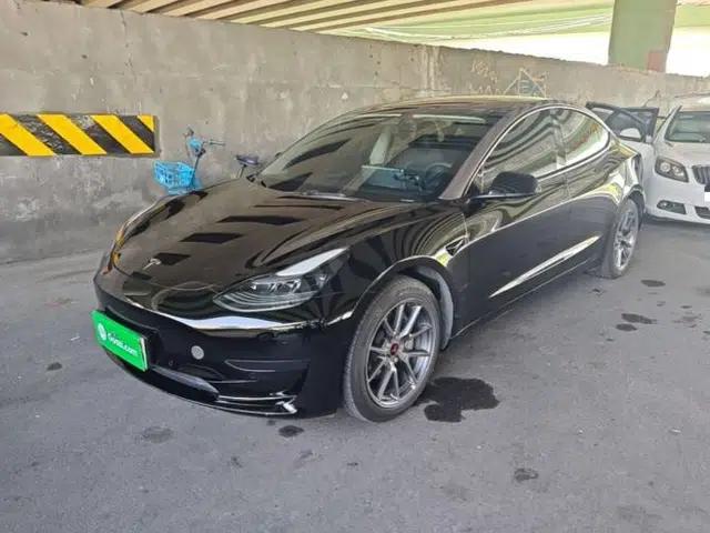 Tesla Model 3 2022 Rear-Wheel-Drive Version