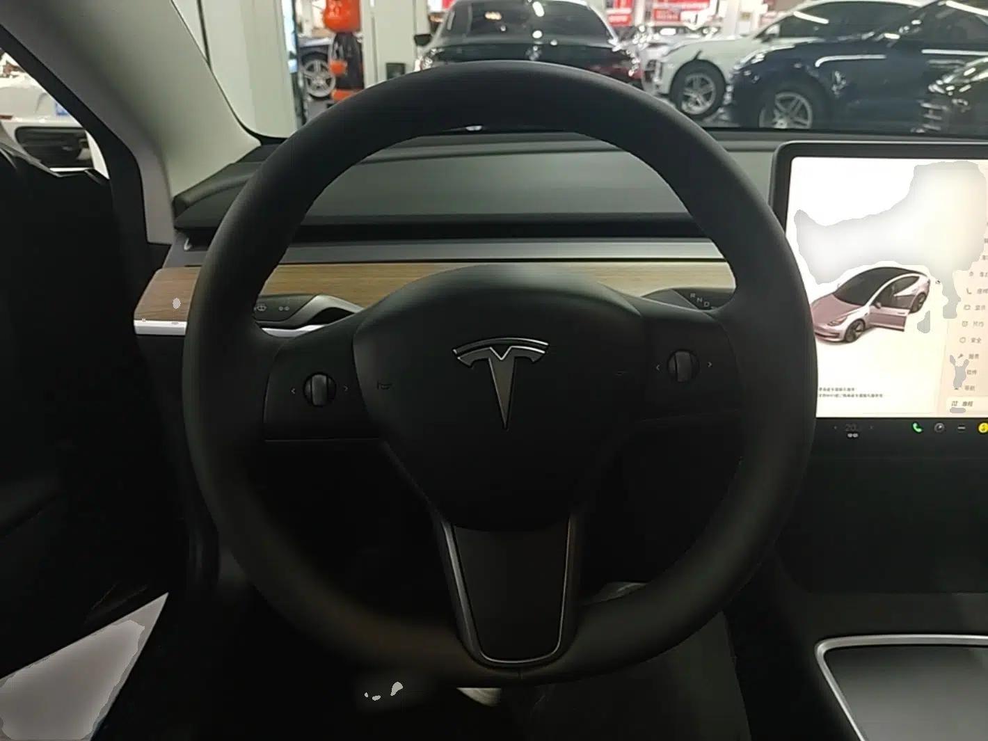 Tesla Model 3 2021 Standard Range Rear-Drive Upgraded Version — миниатюра 14