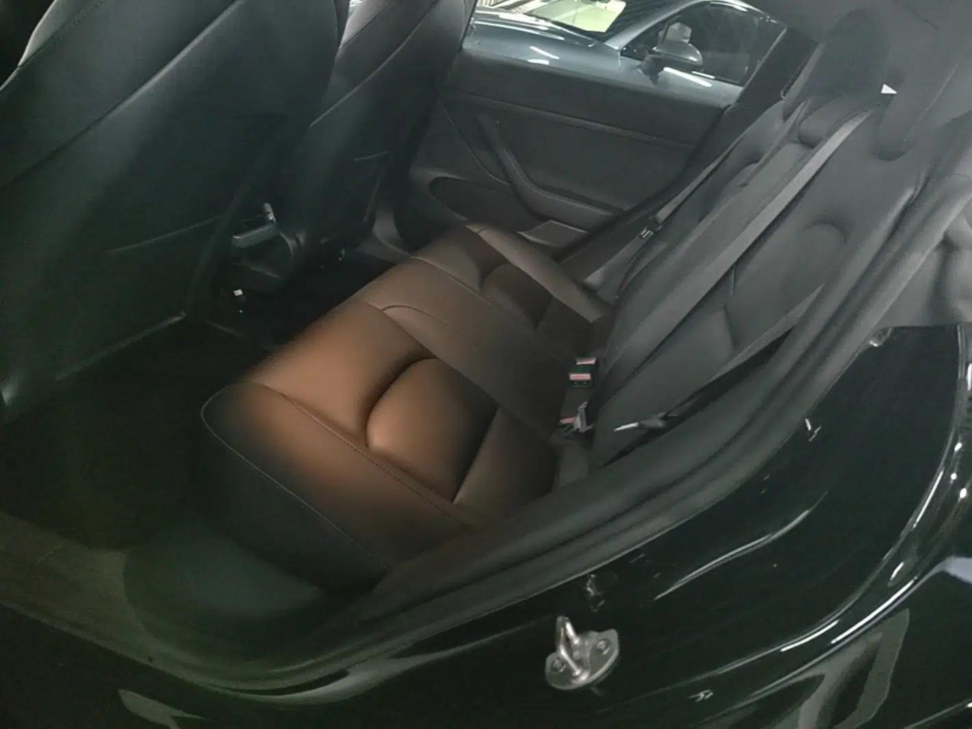Tesla Model 3 2021 Standard Range Rear-Drive Upgraded Version — миниатюра 20