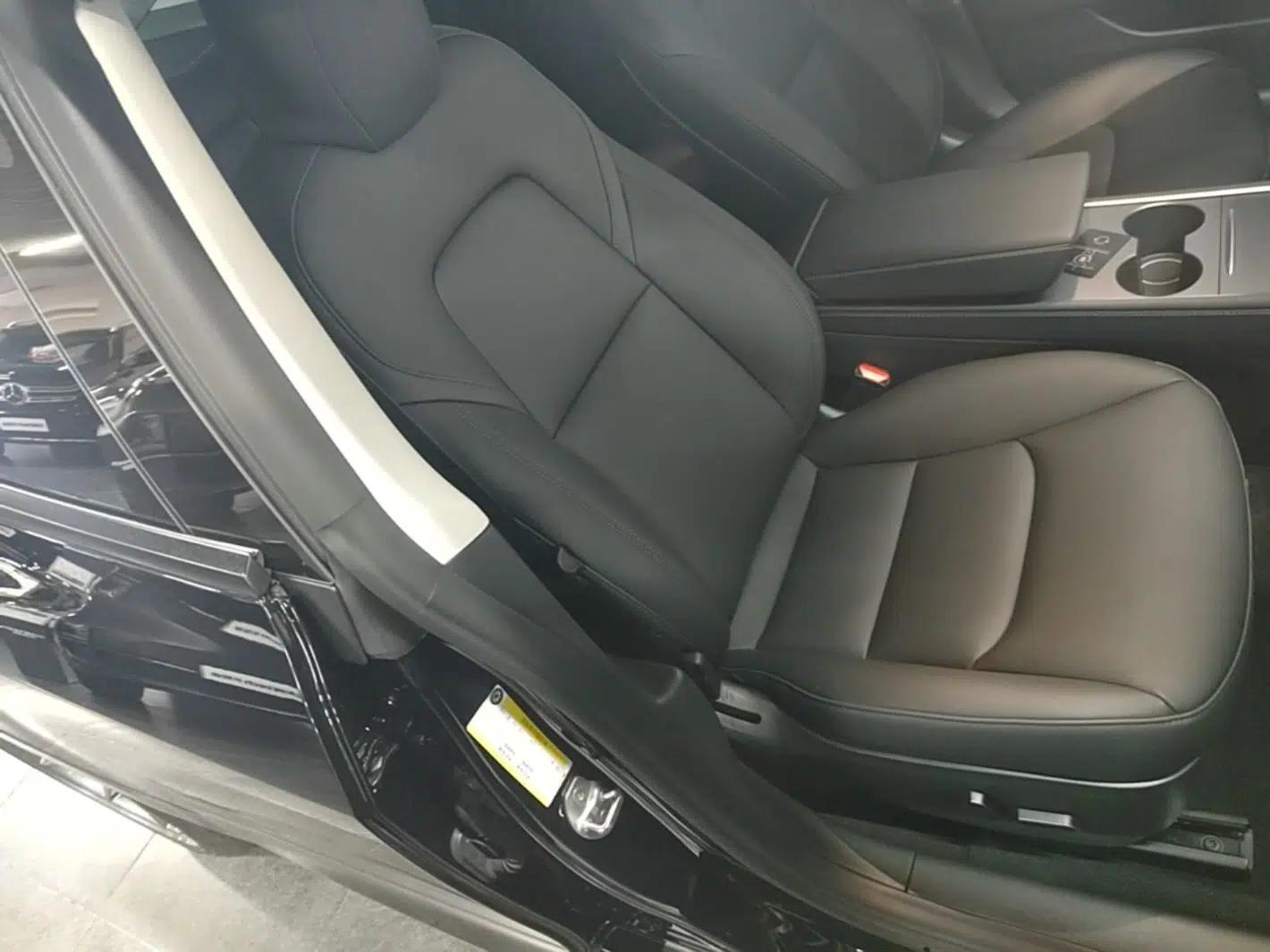 Tesla Model 3 2021 Standard Range Rear-Drive Upgraded Version — миниатюра 23