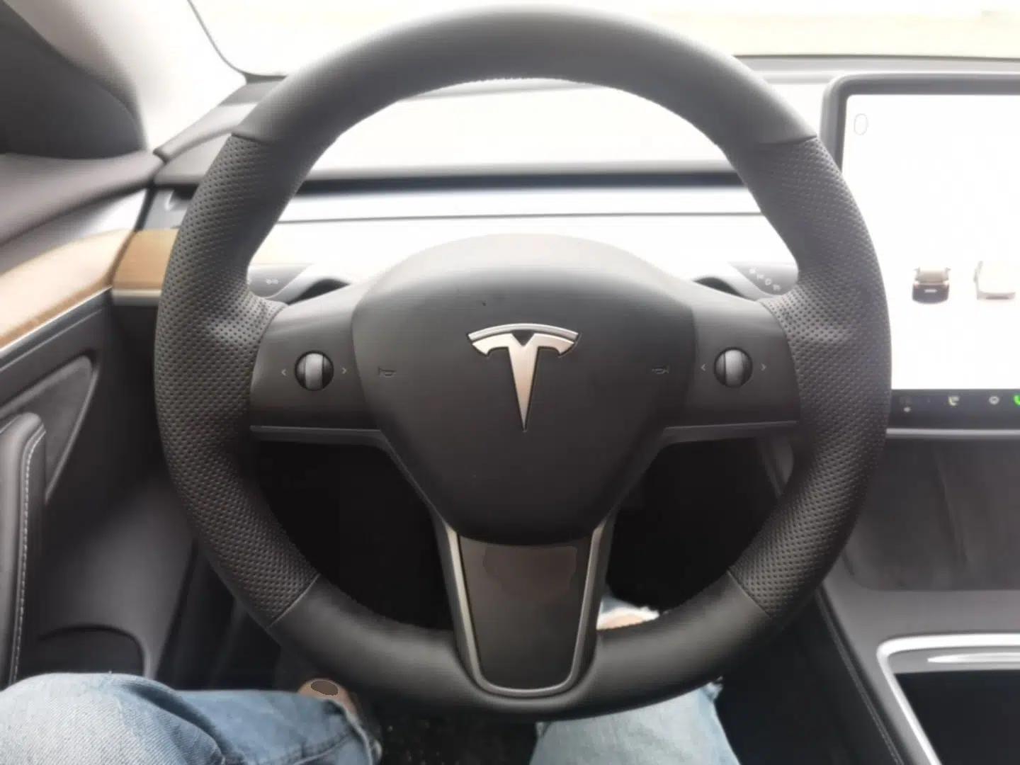 Tesla Model 3 2021 Standard Range Rear-Drive Upgraded Version — миниатюра 14
