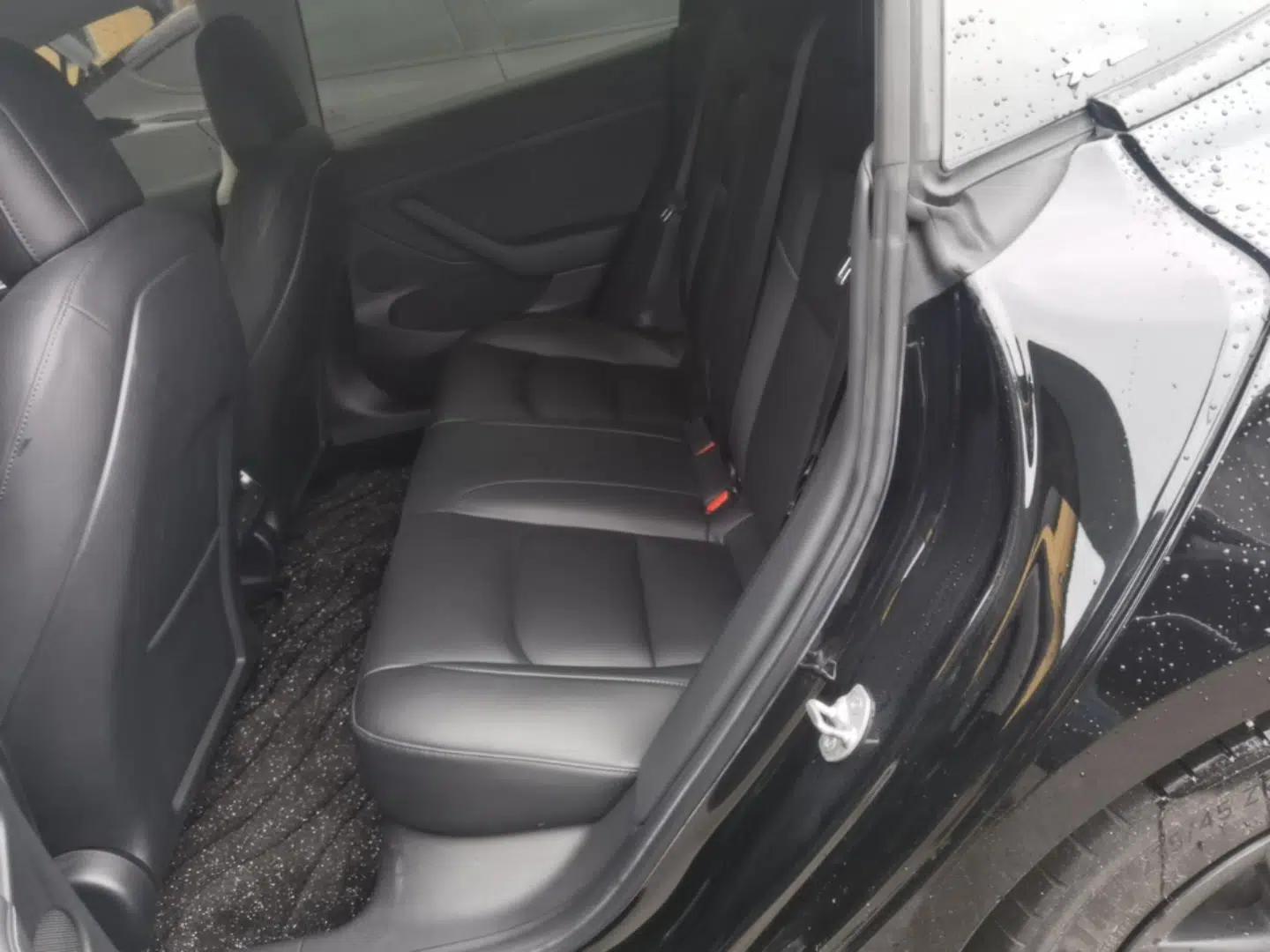 Tesla Model 3 2021 Standard Range Rear-Drive Upgraded Version — миниатюра 20