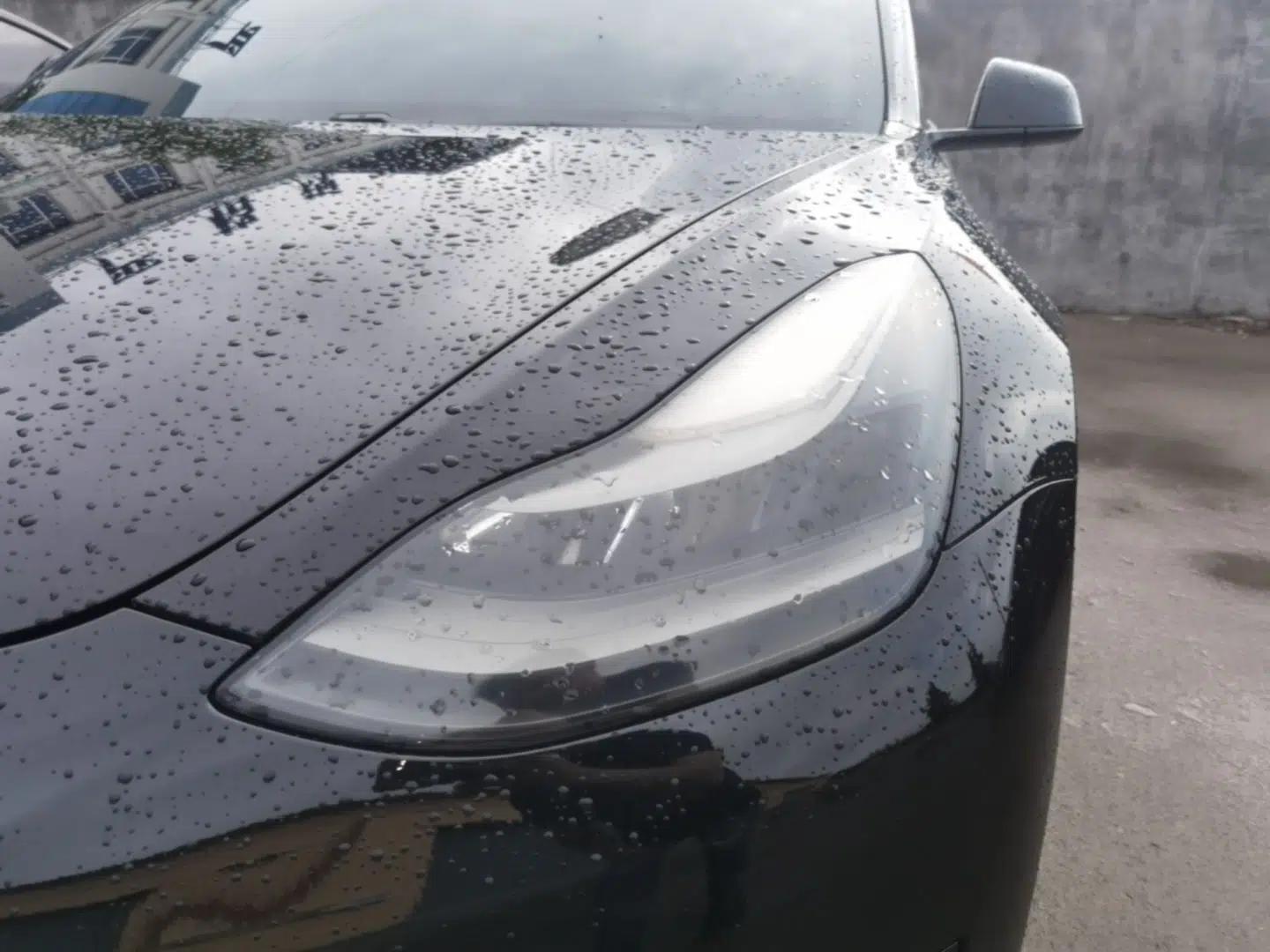 Tesla Model 3 2021 Standard Range Rear-Drive Upgraded Version — миниатюра 9