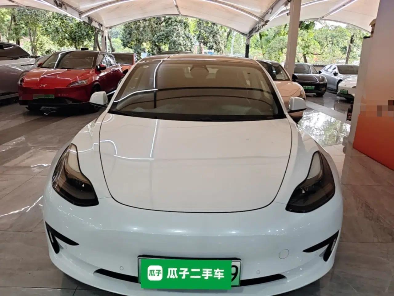 Tesla Model 3 2021 Standard Range Rear-Drive Upgraded Version — миниатюра 2