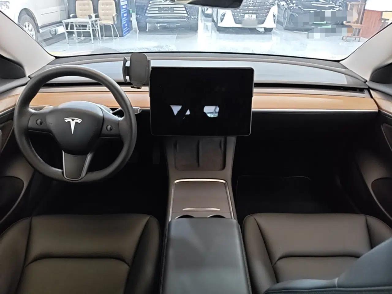 Tesla Model 3 2021 Standard Range Rear-Drive Upgraded Version — миниатюра 13