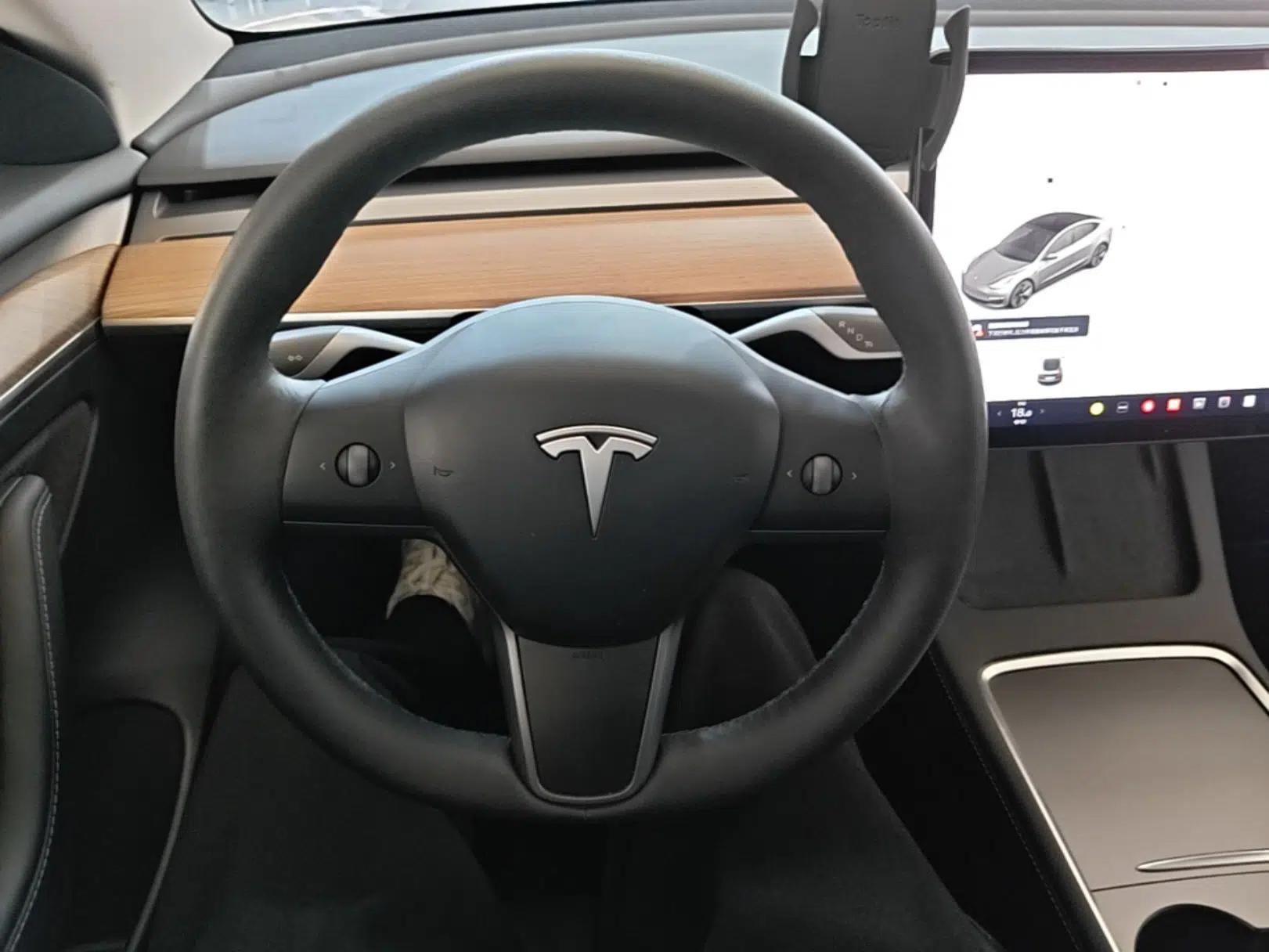 Tesla Model 3 2021 Standard Range Rear-Drive Upgraded Version — миниатюра 14