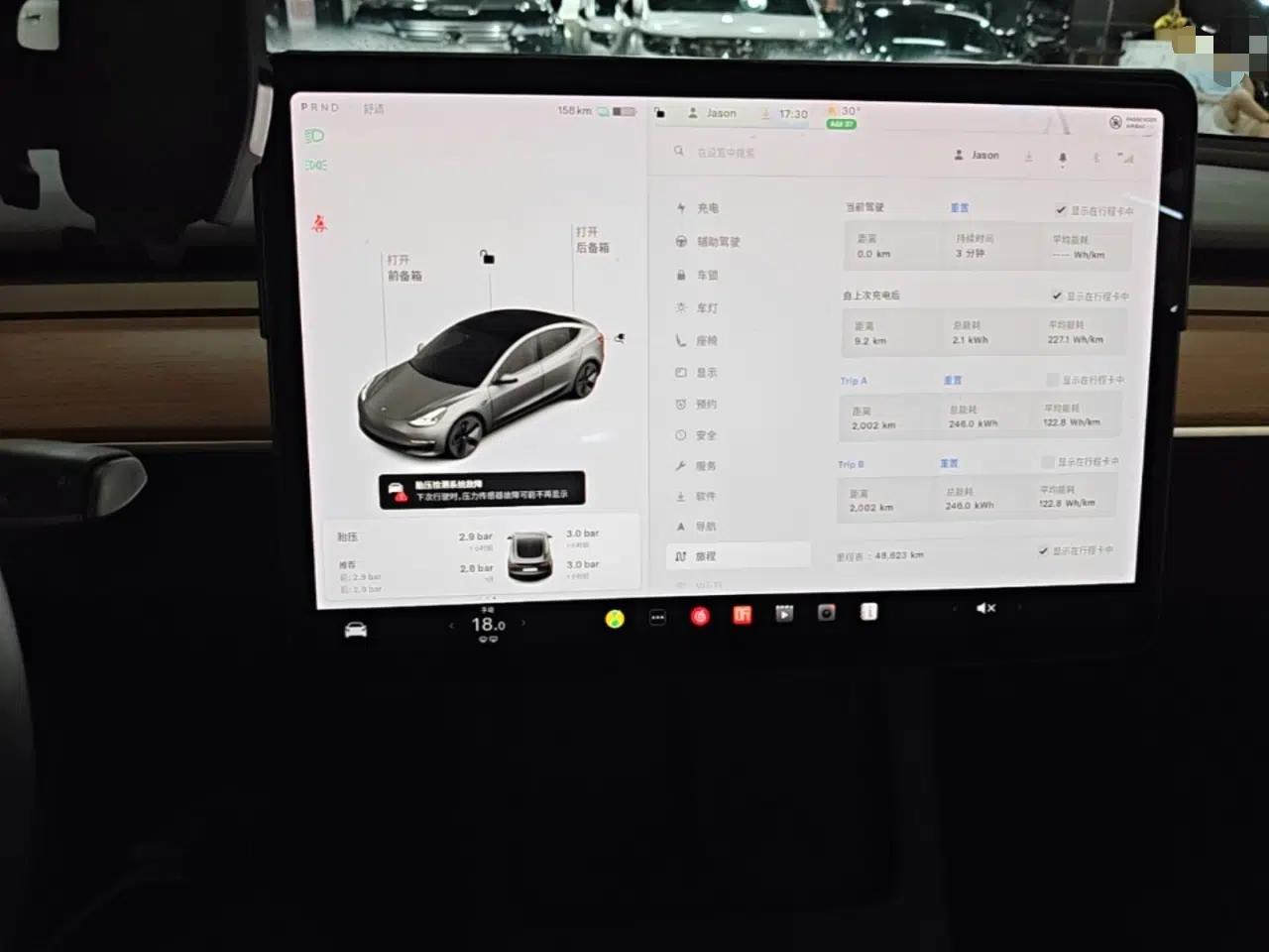 Tesla Model 3 2021 Standard Range Rear-Drive Upgraded Version — миниатюра 16