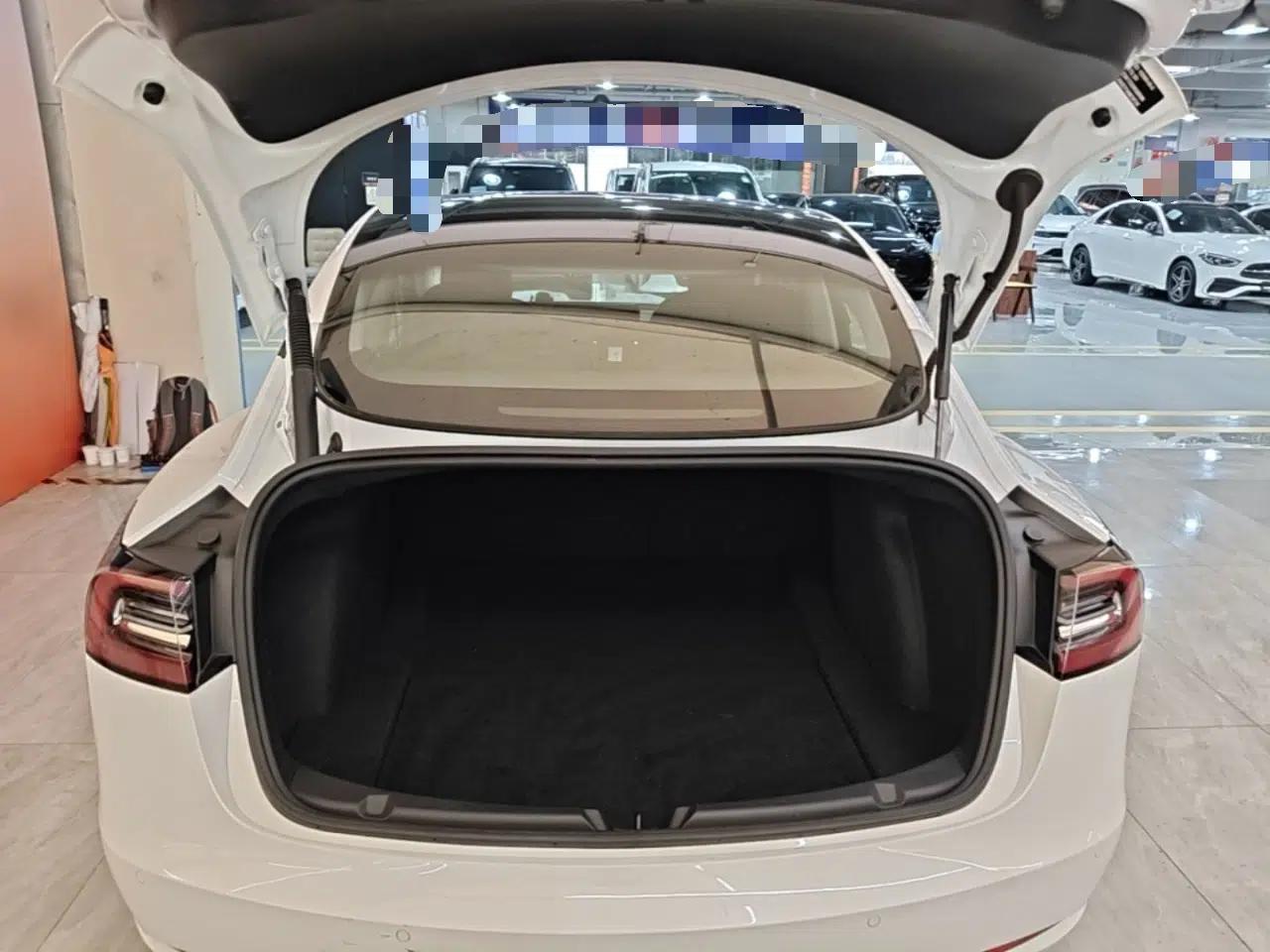 Tesla Model 3 2021 Standard Range Rear-Drive Upgraded Version — миниатюра 22