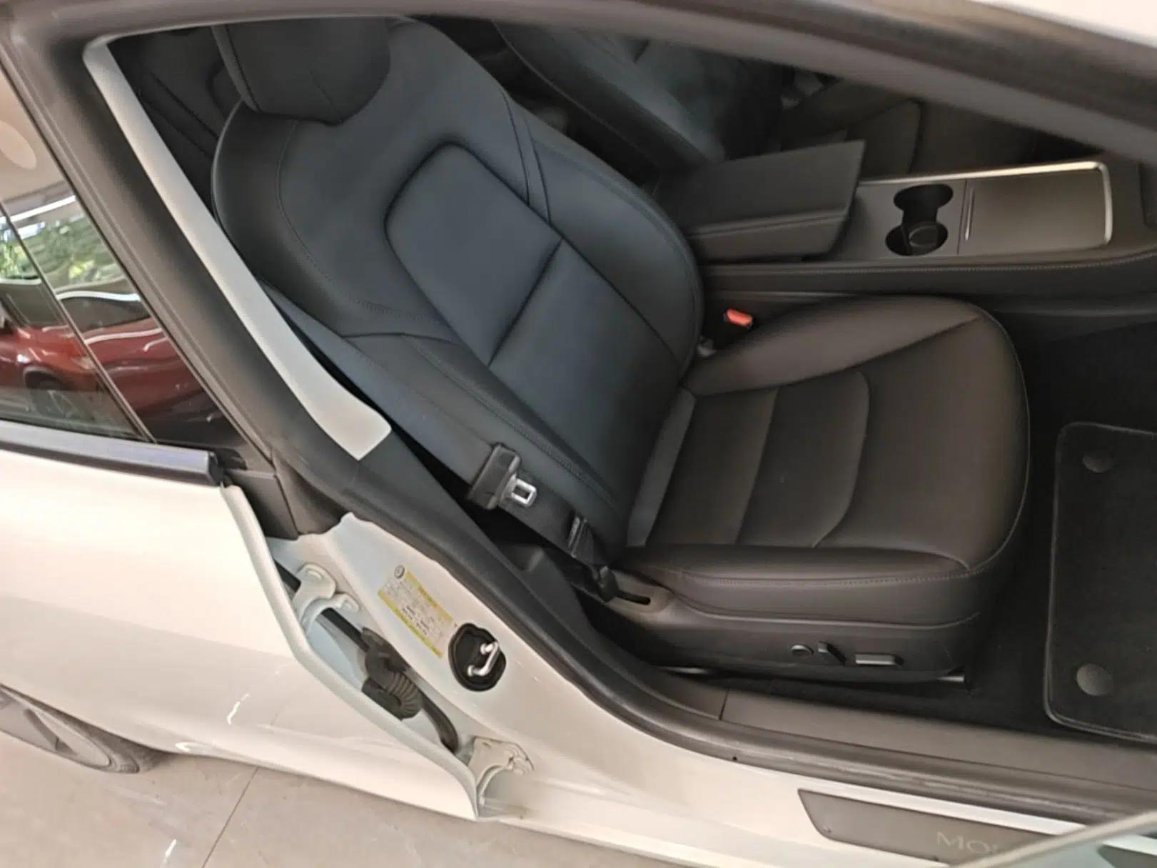 Tesla Model 3 2021 Standard Range Rear-Drive Upgraded Version — миниатюра 23