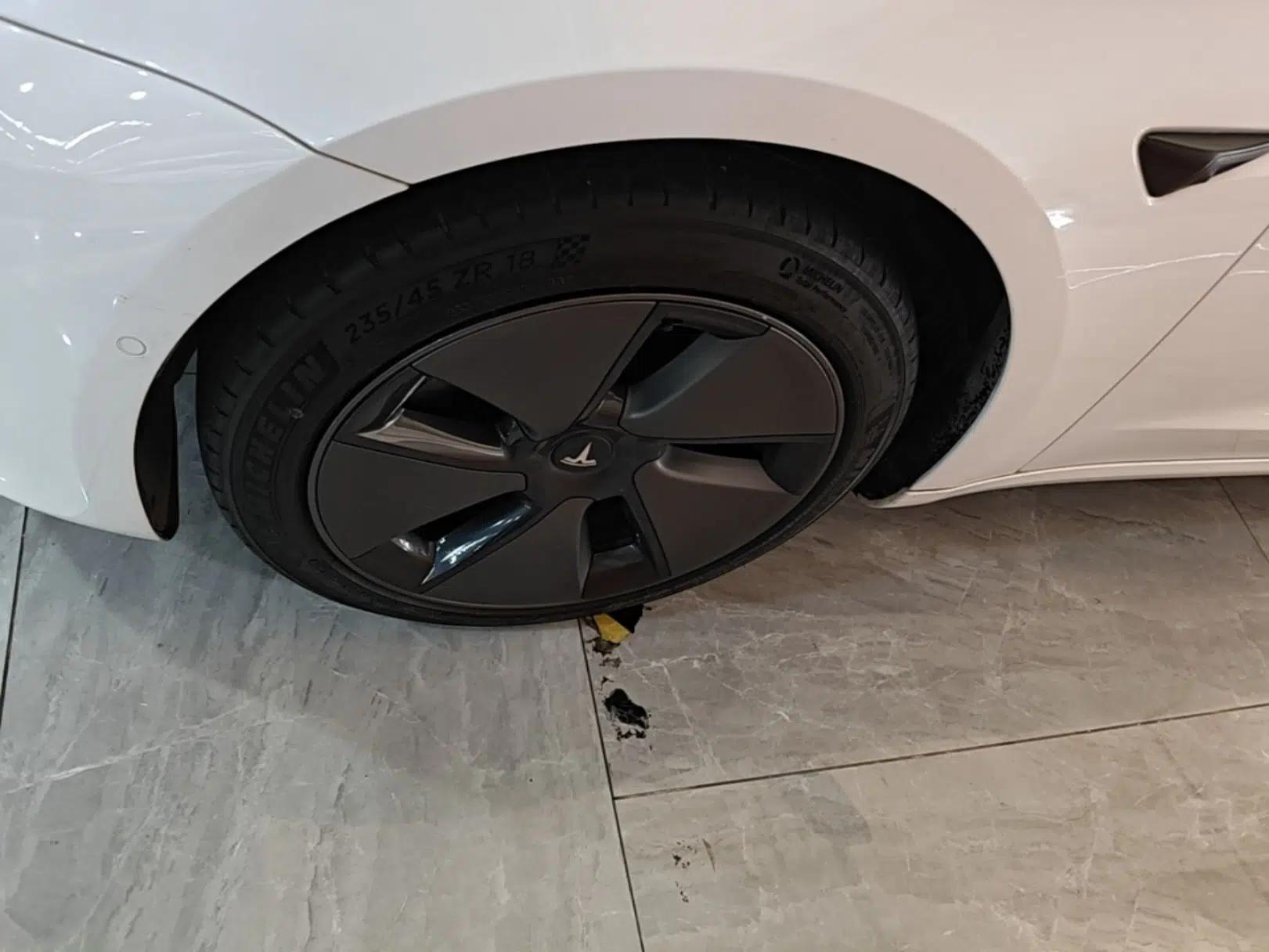 Tesla Model 3 2021 Standard Range Rear-Drive Upgraded Version — миниатюра 8