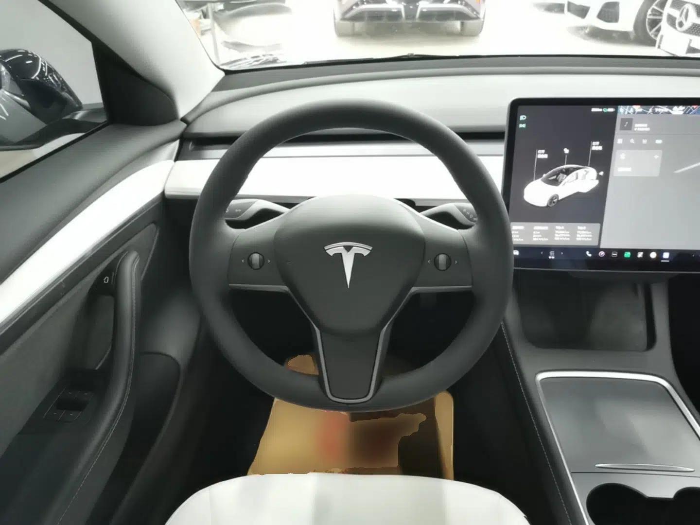Tesla Model 3 2021 Standard Range Rear-Wheel Drive Upgraded Version 3D6 — миниатюра 14