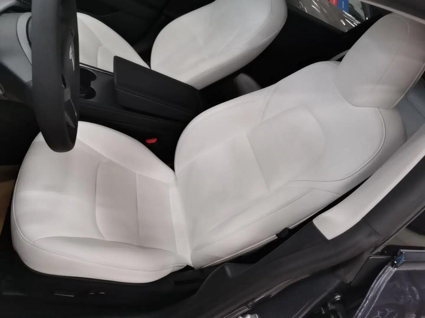 Tesla Model 3 2021 Standard Range Rear-Wheel Drive Upgraded Version 3D6 — миниатюра 18