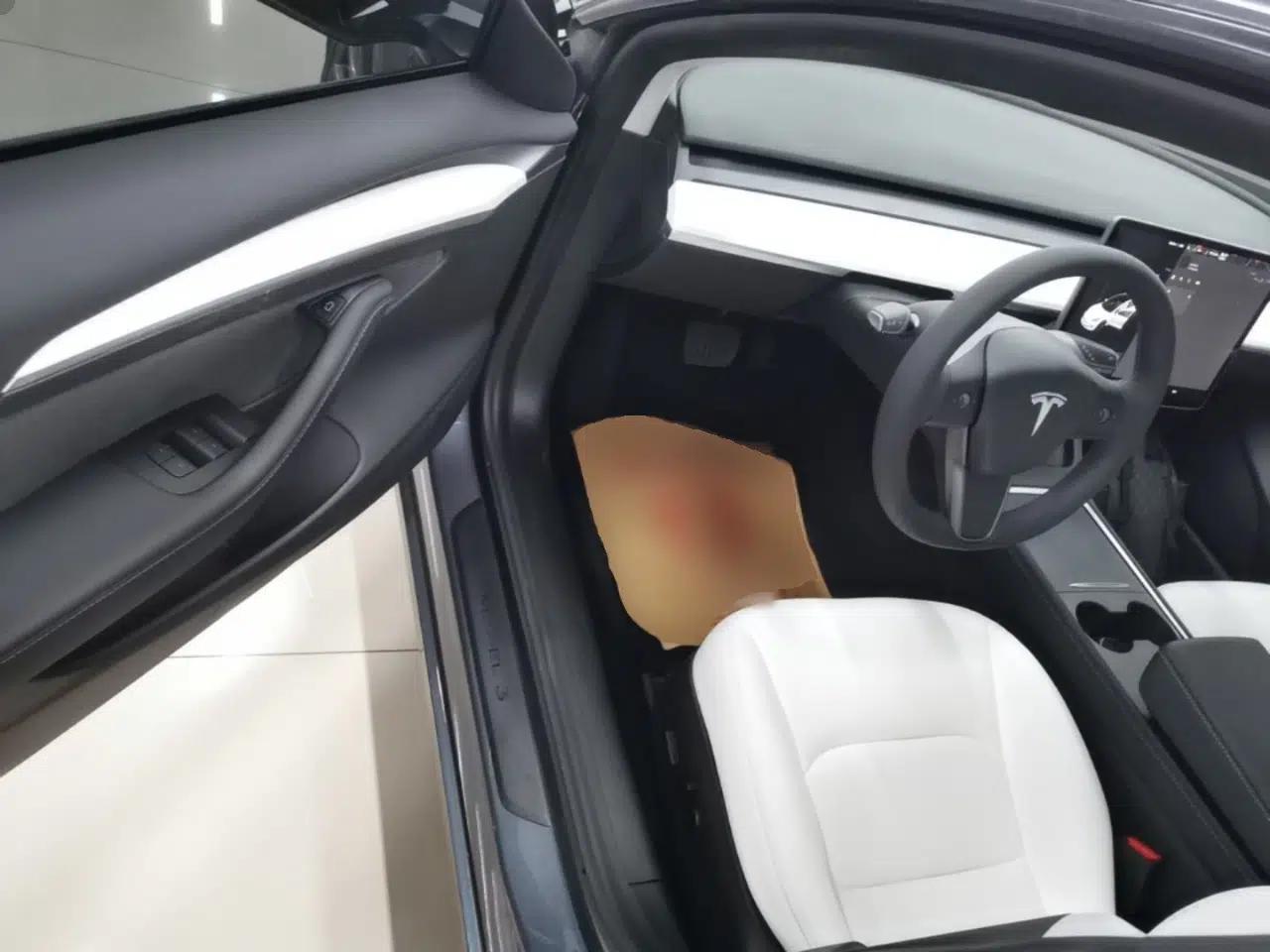Tesla Model 3 2021 Standard Range Rear-Wheel Drive Upgraded Version 3D6 — миниатюра 19