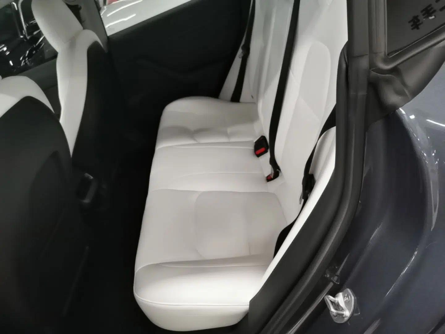 Tesla Model 3 2021 Standard Range Rear-Wheel Drive Upgraded Version 3D6 — миниатюра 20